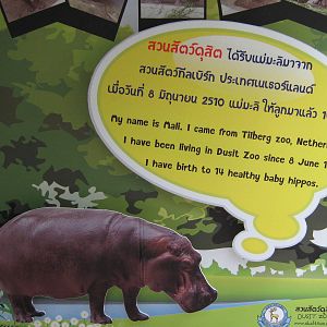 common hippo signage