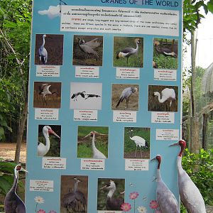 Cranes Of The World signage