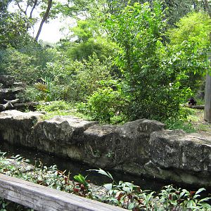 part of the sun bear enclosure