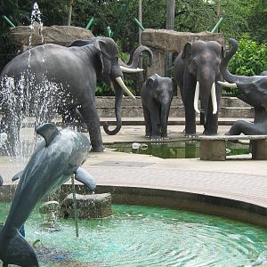 dolphin and elephant statues