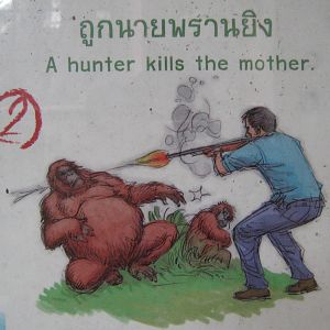 signage for Ouy the orang-utan