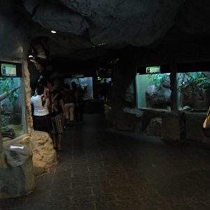 reptile house