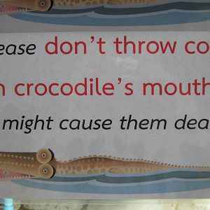 crocodile signage