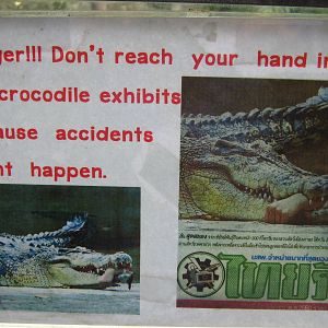 crocodile signage