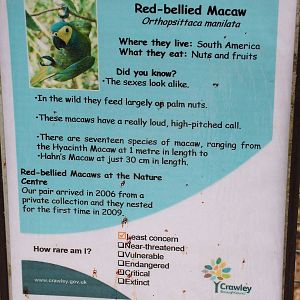 Signage example at Tilgate Nature Centre 14/03/10
