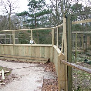 Agouti exhibit construction at Tilgate Nature Centre 14/03/10