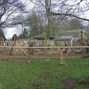 Progression of new serval enclosure at Marwell Wildlife, 21 March 2010