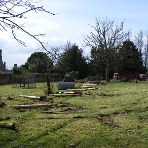 Changes to Somali wild ass stallion enclosure at Marwell Wildlife, 21 March