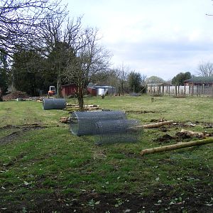 Changes to Somali wild ass stallion enclosure at Marwell Wildlife, 21 March