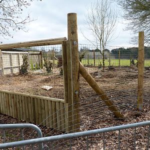 Serval Enclosure Progress