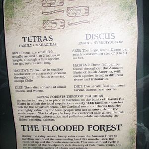 Journey to South America - Signage Example