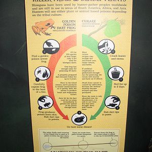 Journey to South America - Signage Example