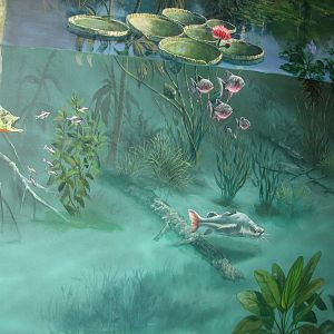 Journey to South America - Mural