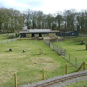 semi aquatic mammal paddocks