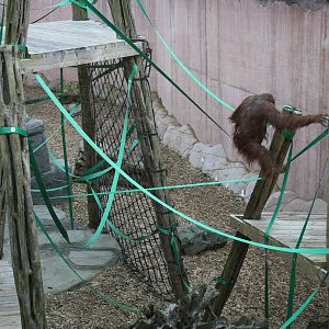 Tiga - 14 March 2010