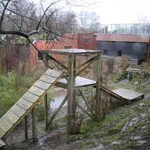 Sasha's enclosure - 16 Feb 2010