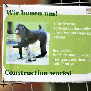 Construction works at the monkey tunnle at munich