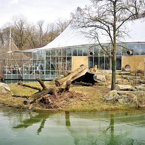Lion exhibit at munich