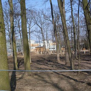 Green Pyramid - under construction