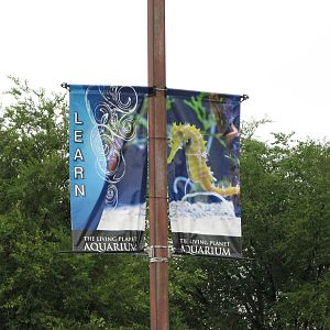 Parking Lot Banner