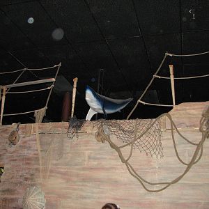 Ocean Explorer - Play Area