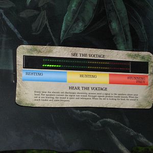 Journey to South America - Electric Eel Interpretive Display