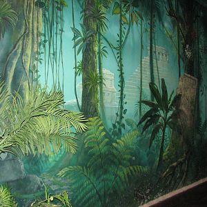 Journey to South America - Mural