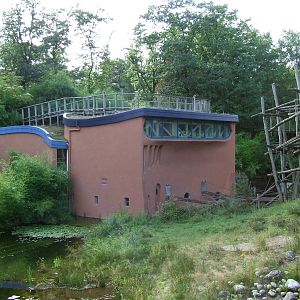 Bonobo House photos, Apenheul