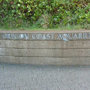 Aquarium Entrance Sign