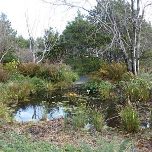 Aquarium Courtyard Pond