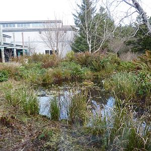 Aquarium Courtyard - Outdoor Pond