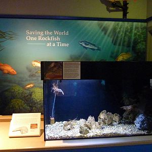 Sandy Shores Exhibits