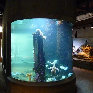 Sandy Shores Exhibits