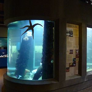 Sandy Shores Exhibits