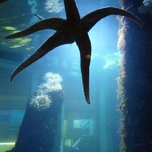 Sandy Shores Exhibits