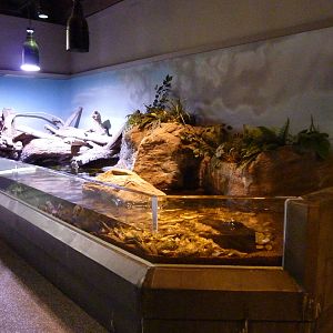 Sandy Shores Exhibits