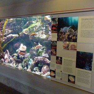 Sandy Shores Exhibits