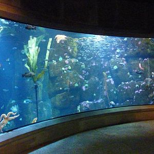 Rocky Shores Exhibits