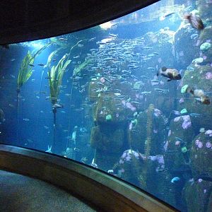 Rocky Shores Exhibits