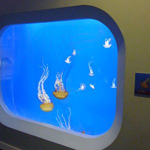 Coastal Waters Exhibits
