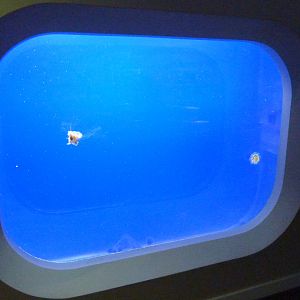 Coastal Waters Exhibits