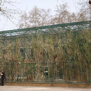 Doñana's old bird house