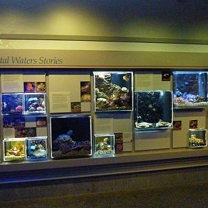 Coastal Waters Exhibits