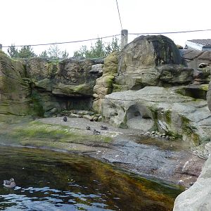 Sea Bird Aviary