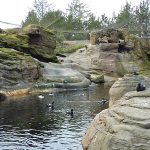 Sea Bird Aviary