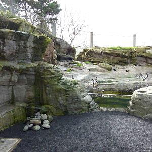Sea Bird Aviary
