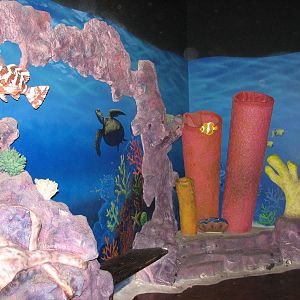 Ocean Explorer - Play Area