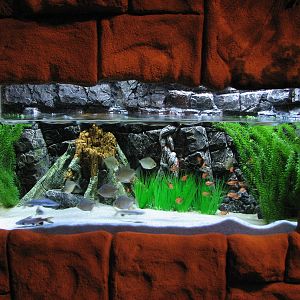 Journey to South America