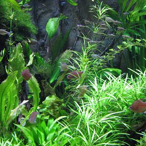 Journey to South America