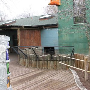 Small Animal Kingdom - Aldabra Tortoise Outdoor Exhibit